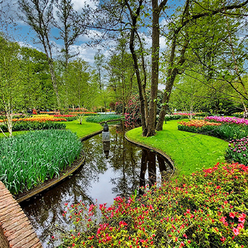 Fountain & Sculptures