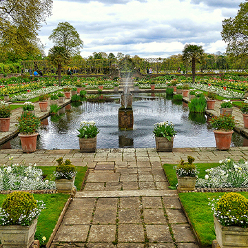 Fountain & Sculptures