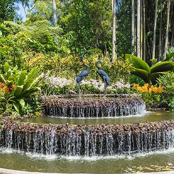 Fountain & Sculptures