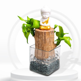 Brazilian Wood with Buddha