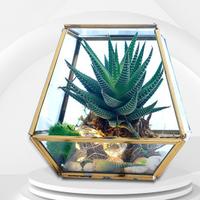 DIY Golden Terrarium Kit